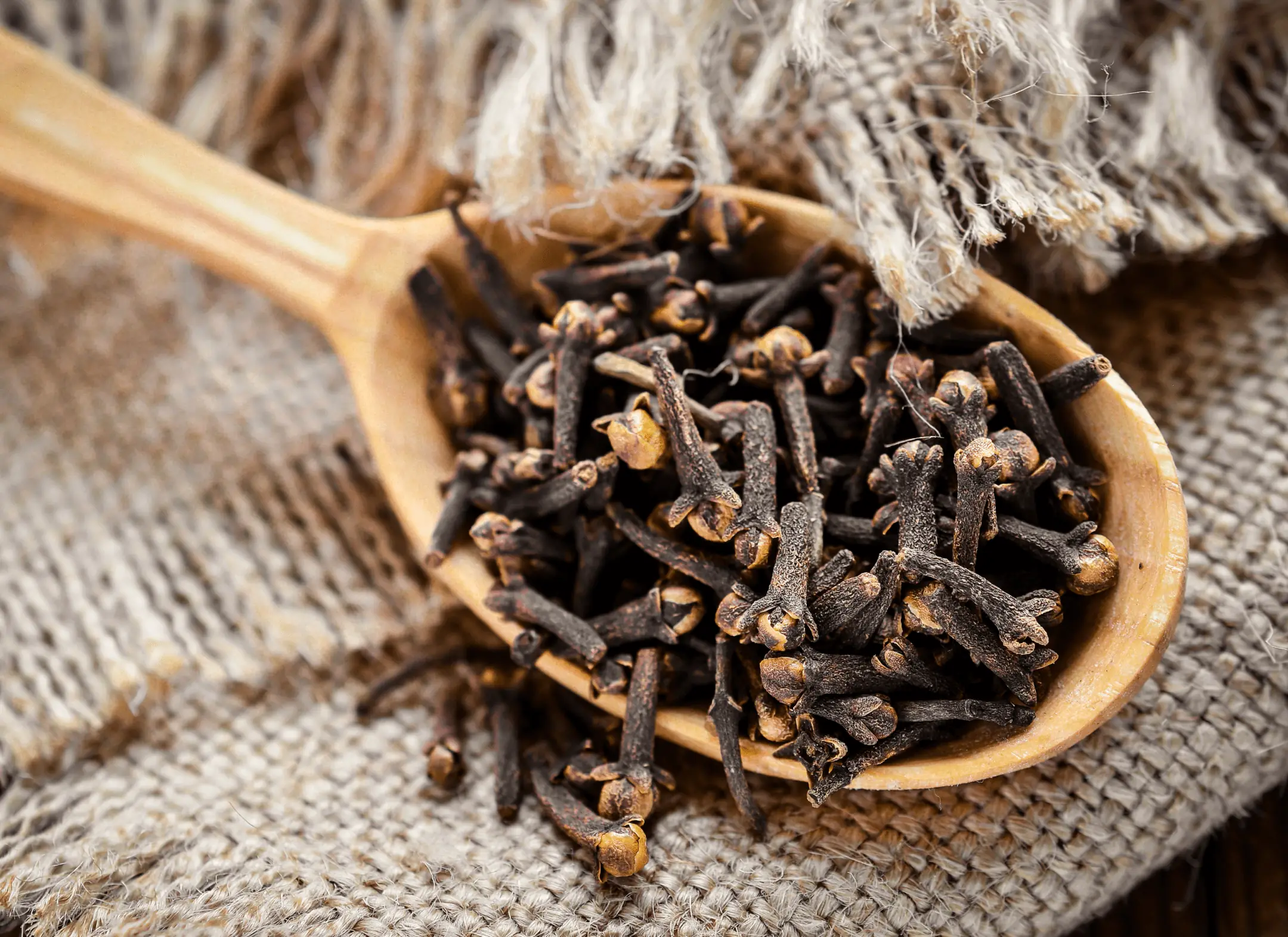 Whole dried clove buds on a wooden spoon
